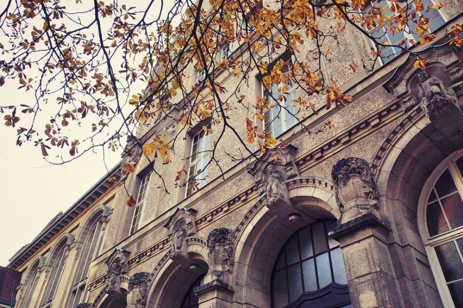 10369706013_1cddb6110f_b