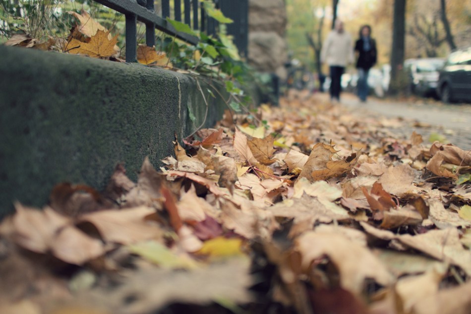 10369841083_88def48928_b